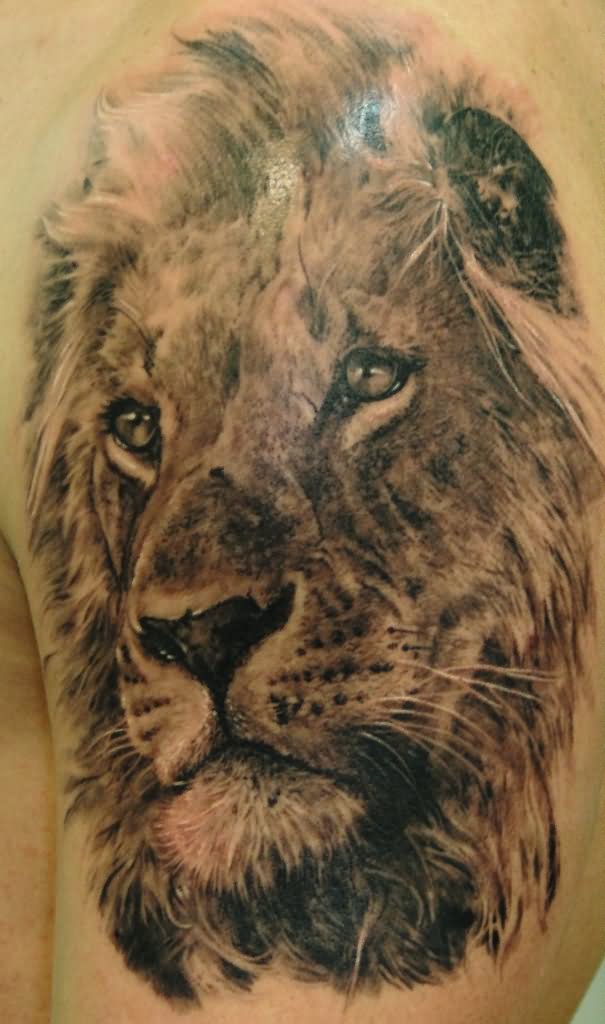 Leones: Una buena colección con 160 tatuajes