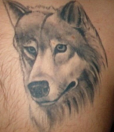 107 Fotos Con Tatuajes De Lobos