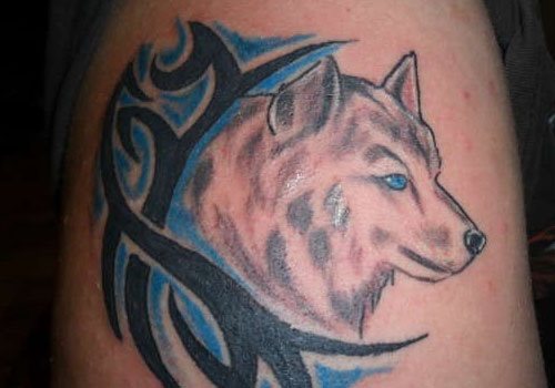 107 Fotos Con Tatuajes De Lobos