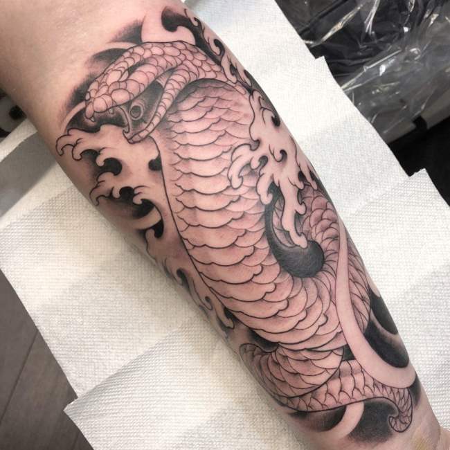 tattoo cobra 104