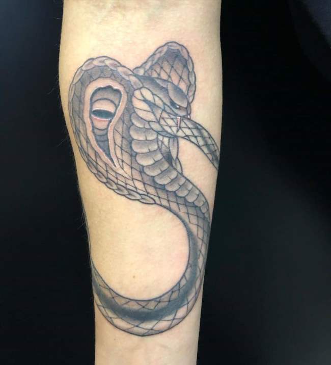 tattoo cobra 12