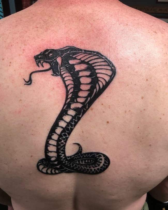 tattoo cobra 142