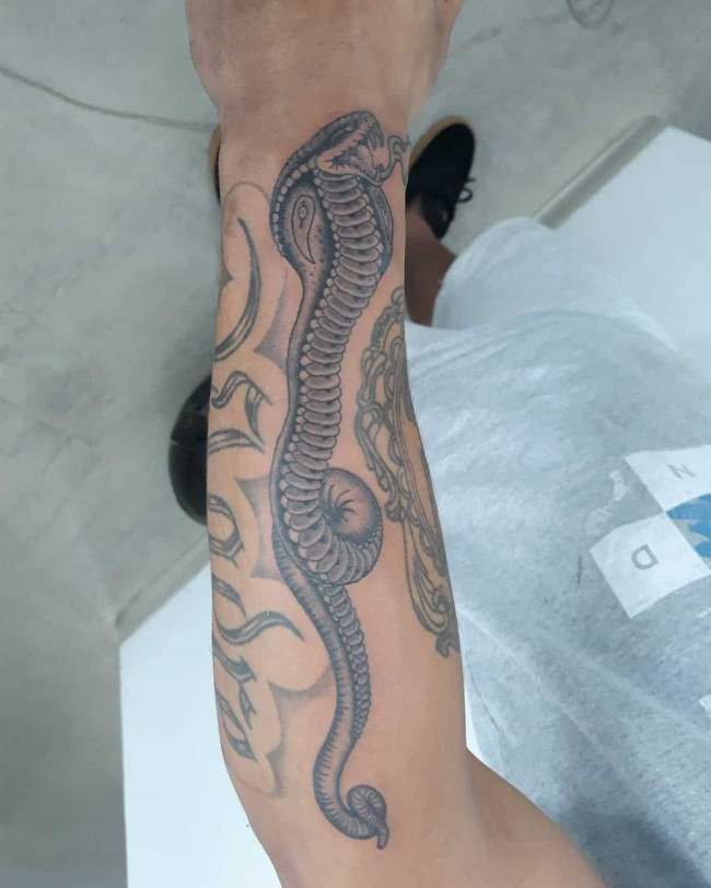 tattoo cobra 160
