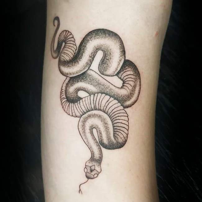 tattoo cobra 192