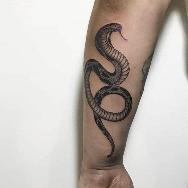 tattoo cobra 202