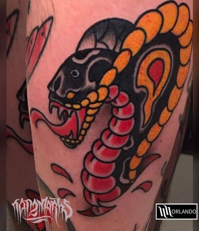 tattoo cobra 24