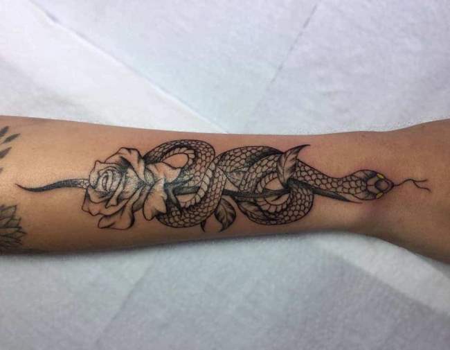 tattoo cobra 80